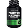 Biotech Tribulus Maximus