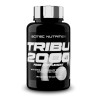 Scitec Tribu 2000